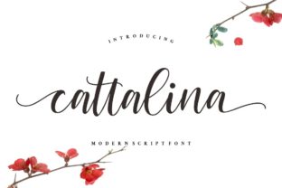 Cattalina: A Font That Breathes Life Into Editorial Design
