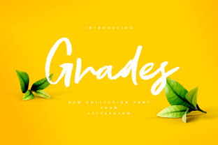 Grades: A Script Font for Dynamic Web Design