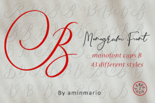Monogram B Monofont Caps B: A Designer’s Font for Campaign Creativity