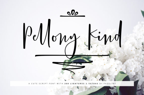 Pellony Kind: A Font That Adds Warmth to Digital Design