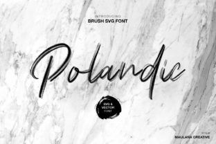 Polandic: A Script Font with Quiet Confidence