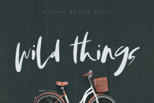 Wild Things: A Script Font That Brings Adventure to Branding